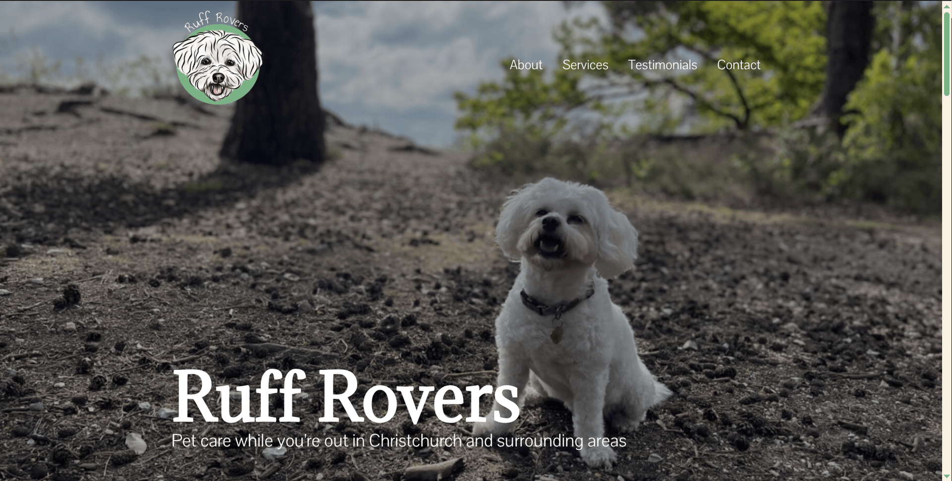 Dan Bridges web developer